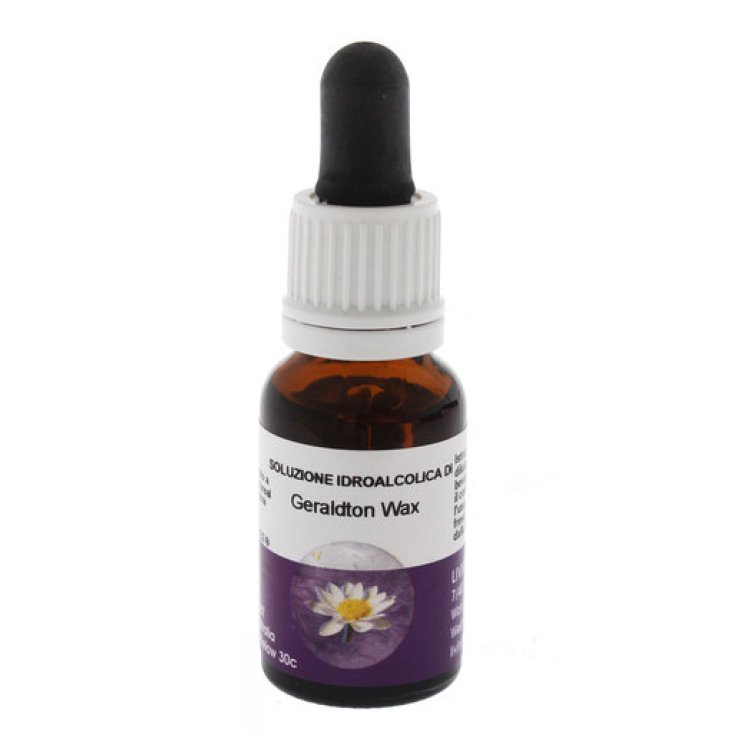 Geraldton Wax Australian Floral Essences 15ml