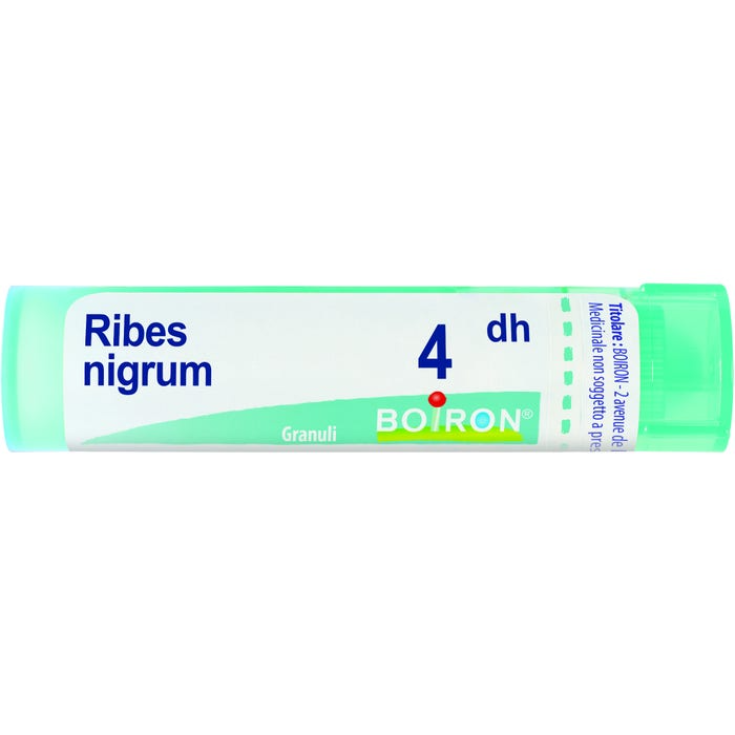 Boiron Ribes Nigrum 4DH Granules Homeopathic Medicine