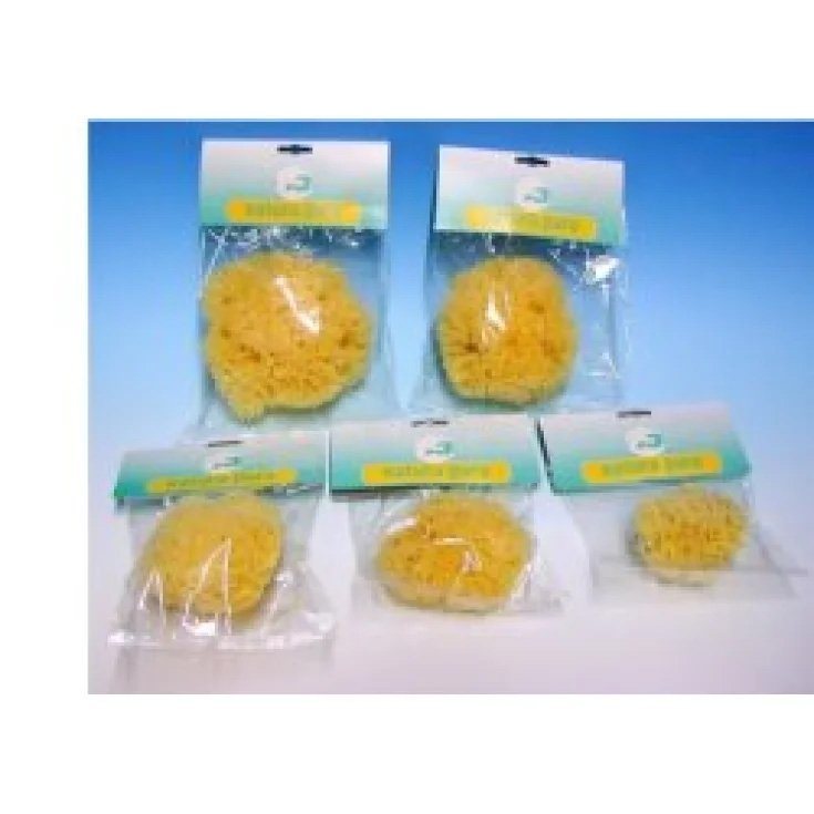 Natura Pura Natural Sponge 14 Envelopes