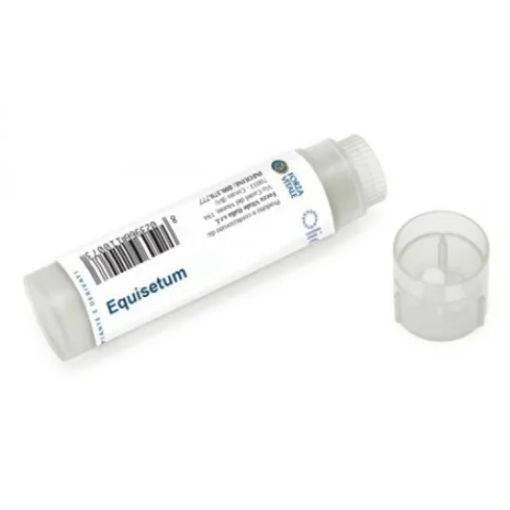 Life Force Equisetum Manganese Copper Cobalt Homeopathic Remedy 100 Globules Life Force Equisetum Manganese Copper Cobalt Homeopathic Remedy 100 Globules