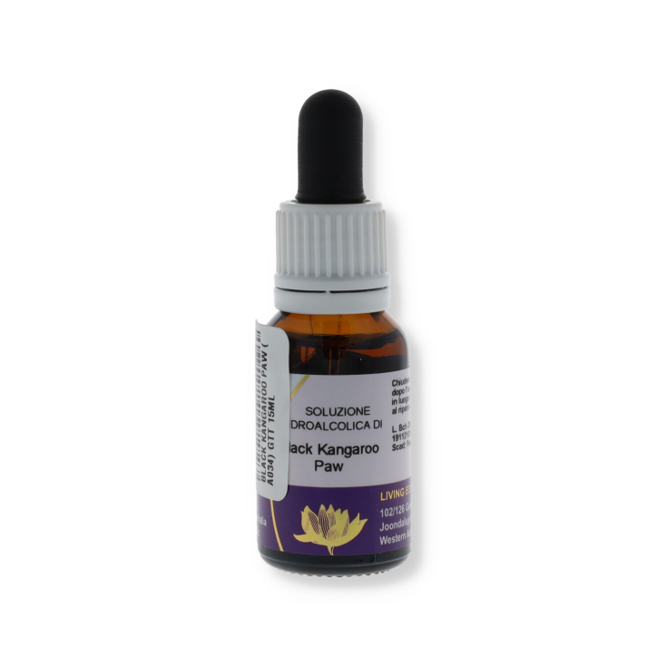 Black Kangaroo Paw Australian Floral Essences 15ml