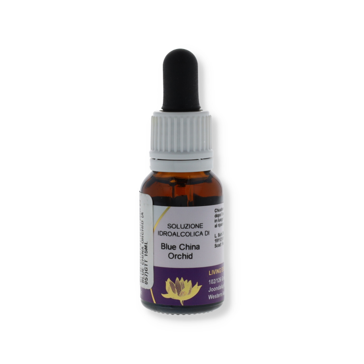 Blue China Orchid Australian Floral Essences 15ml