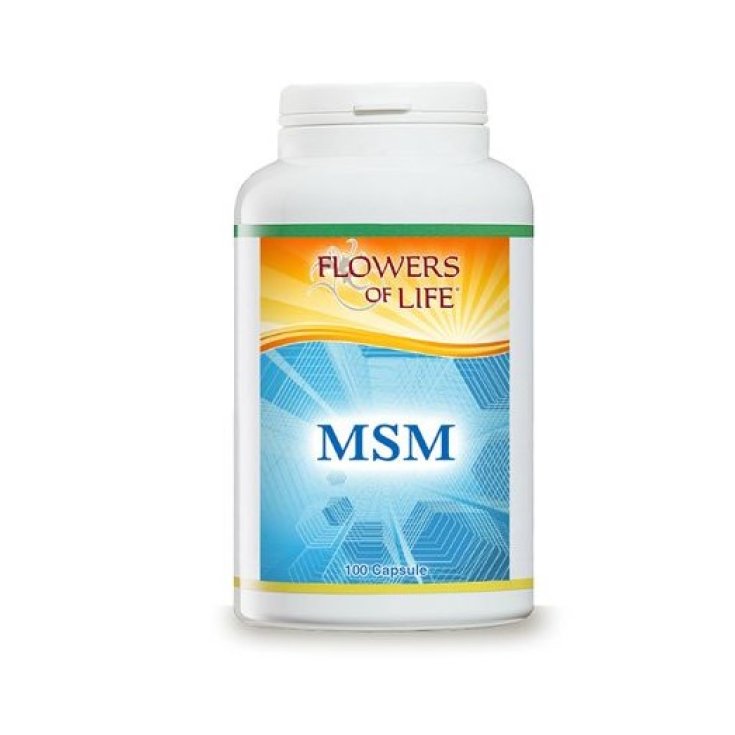 Flowers Of Life Msm Food Supplement 100 Capsules