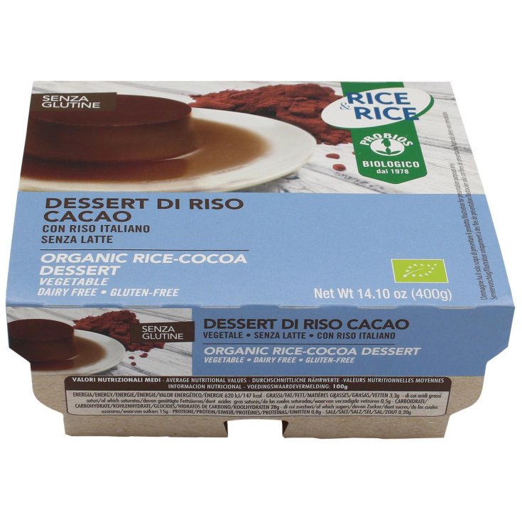 Rice & Rice Dessert Cacao Probios 400g