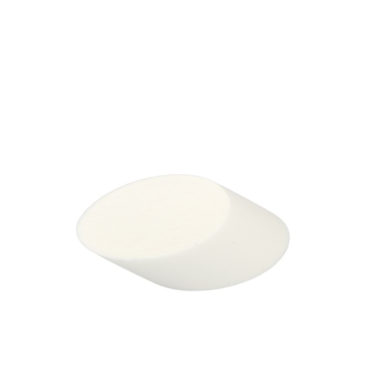 Sponge Make Up Perfection BT 234 Beuatytime