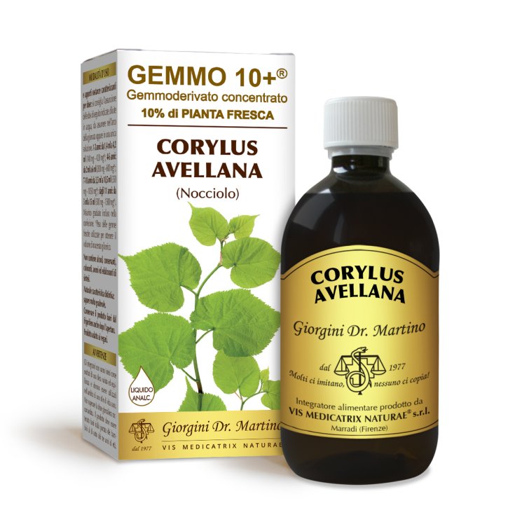 G10 + Non-alcoholic Liquid Hazelnut Dr. Giorgini 500ml