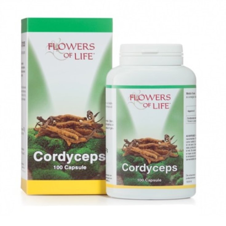 Flowers Of Life Cordyceps Food Supplement 100 Capsules