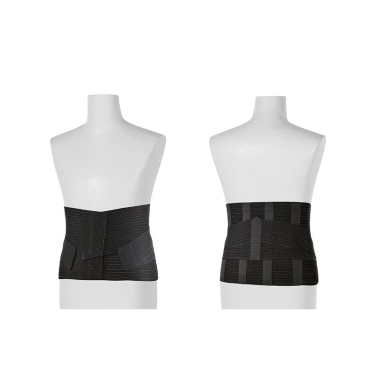 Tlm Winner + Dynamic Corset Black Xxl