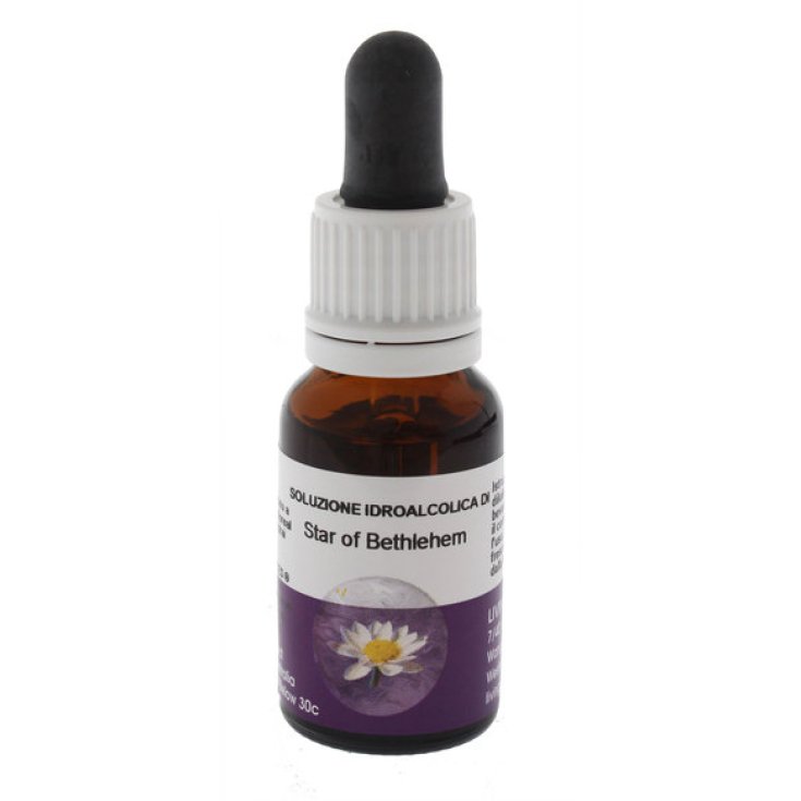 Natur Star Of Bethlemm Bach Flower Essence Food Supplement 15ml