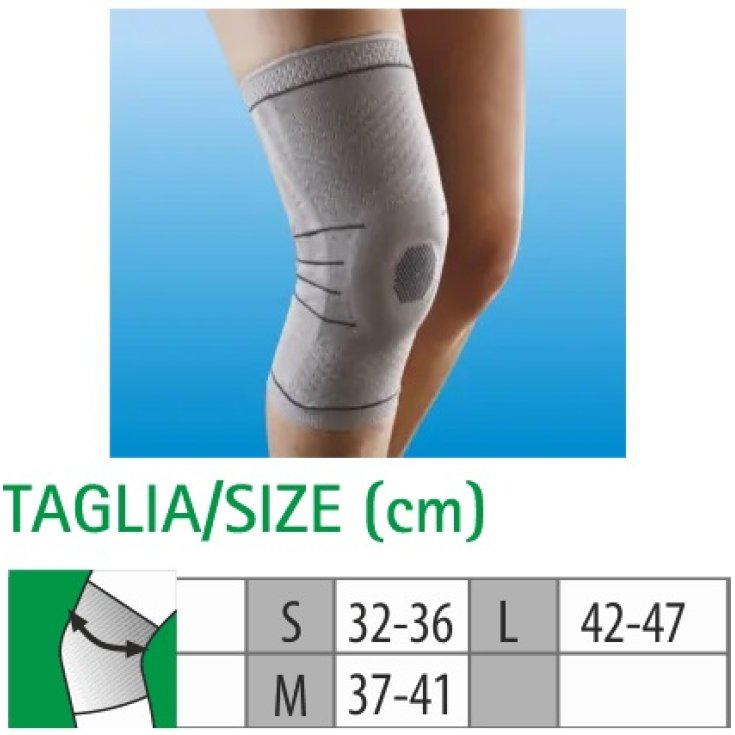 Budetta Farma Cliaortho Knee Ligaments Size L