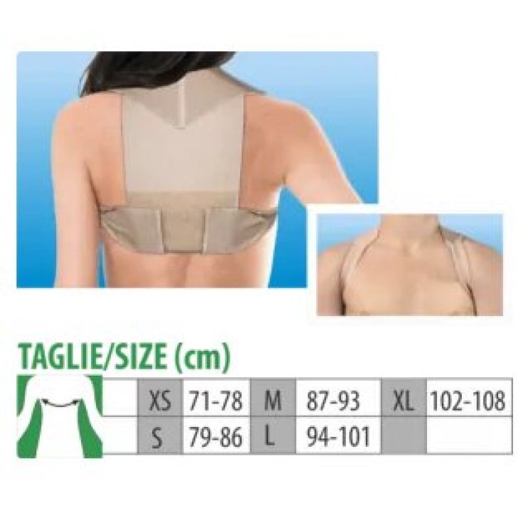 Budetta Farma Cliaortho Shoulder Straightener Correct Posture Size M