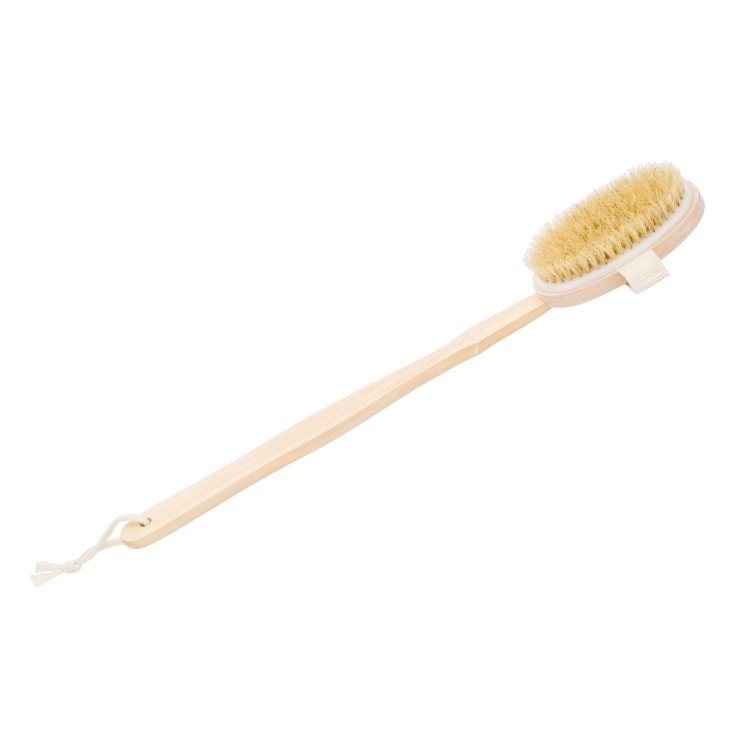 Brush with Removable Wooden Handle BT330 Beautytime