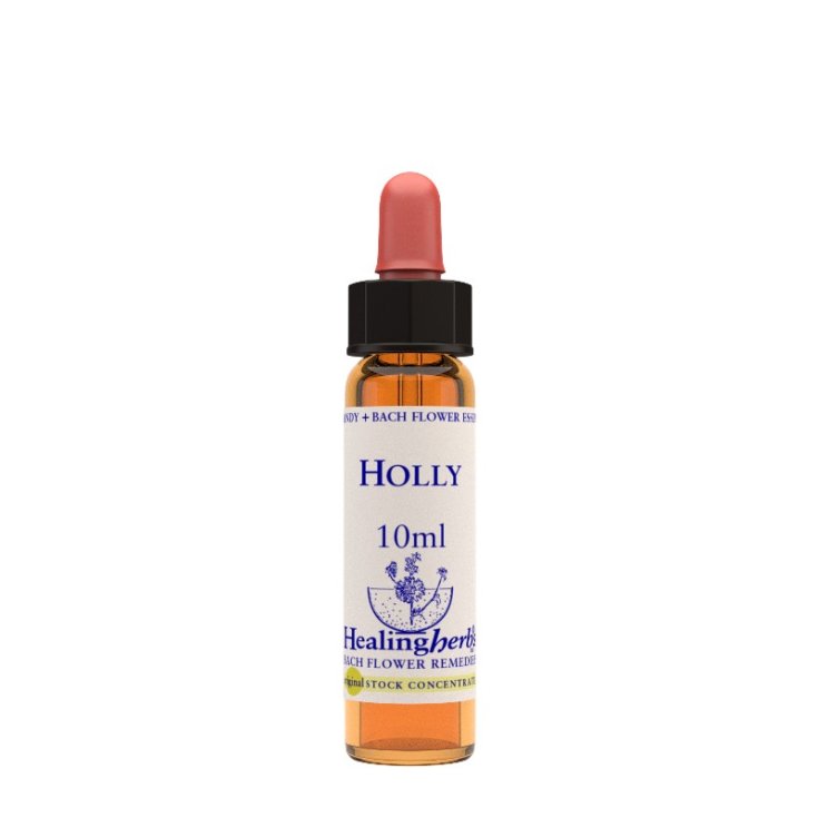 Natur Holly Essence Homeopathic Remedy 10ml