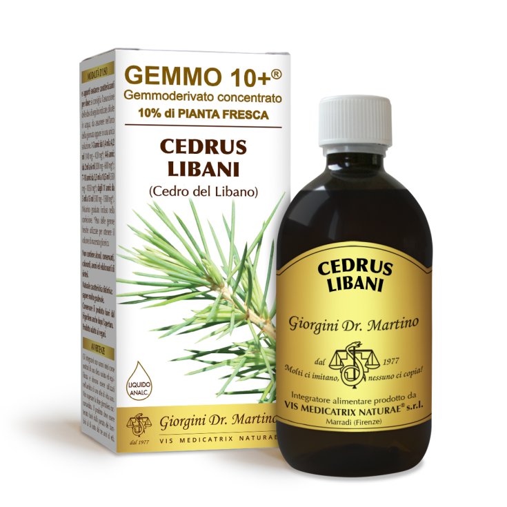 G10 + Cedar Of Lebanon Dr. Giorgini 500ml