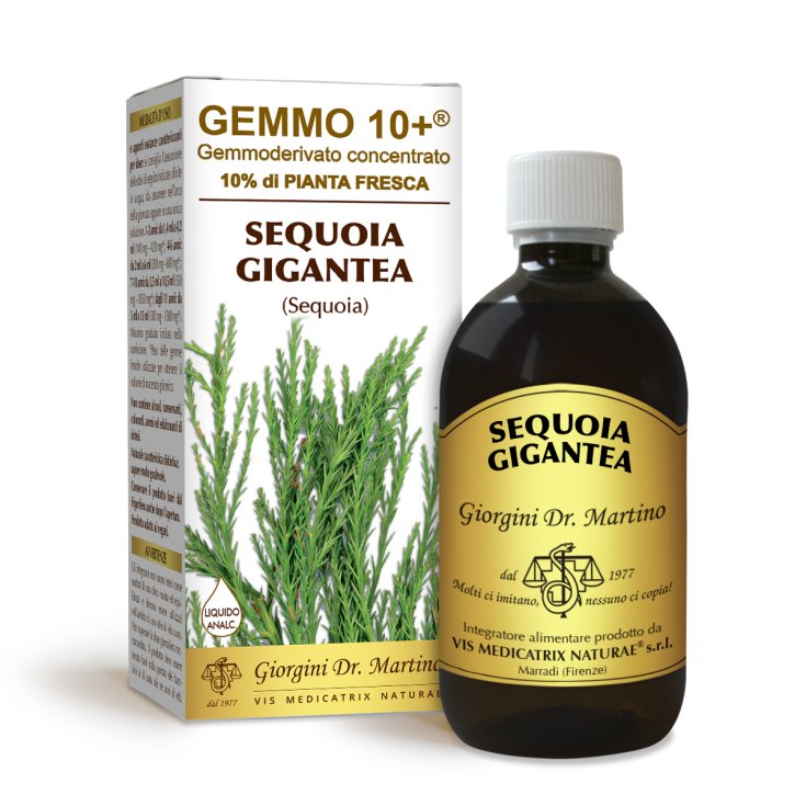 G10 + Sequoia Gigantea Non-alcoholic Liquid Dr. Giorgini 500ml