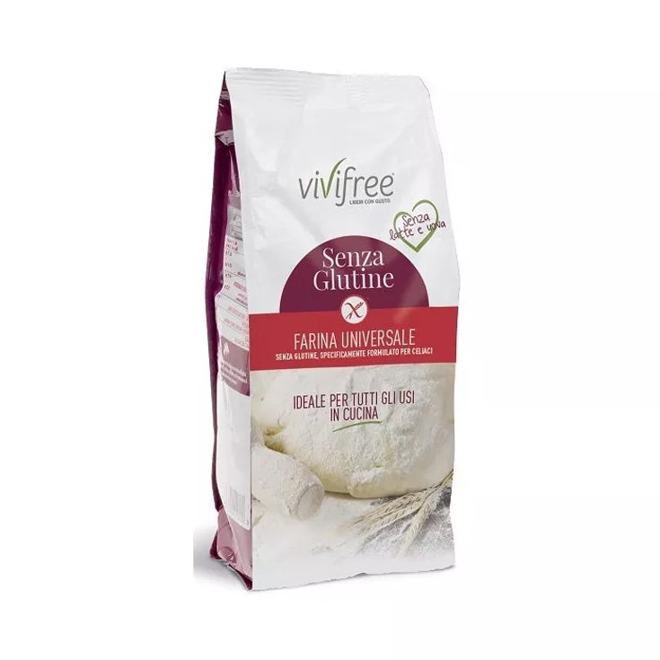 Molino Spadoni Vivifree Universal Flour Gluten Free 1Kg