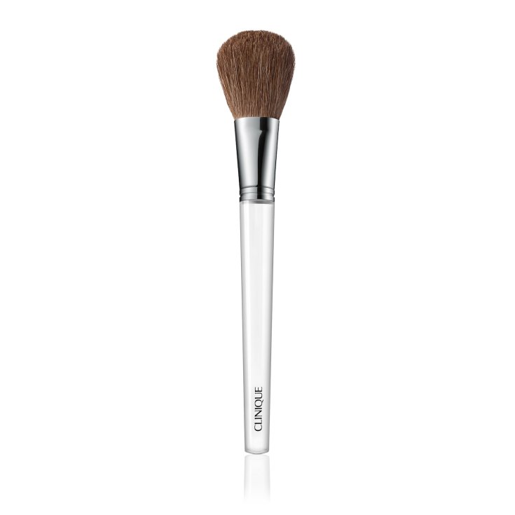 @CQ BLUSH BRUSH