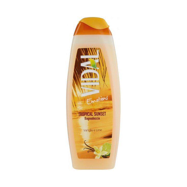 VIDAL B / S VANILLA AND LIME 500 ML
