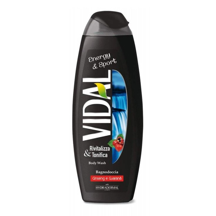 VIDAL B / S ENERGY & SPORT 500 ML