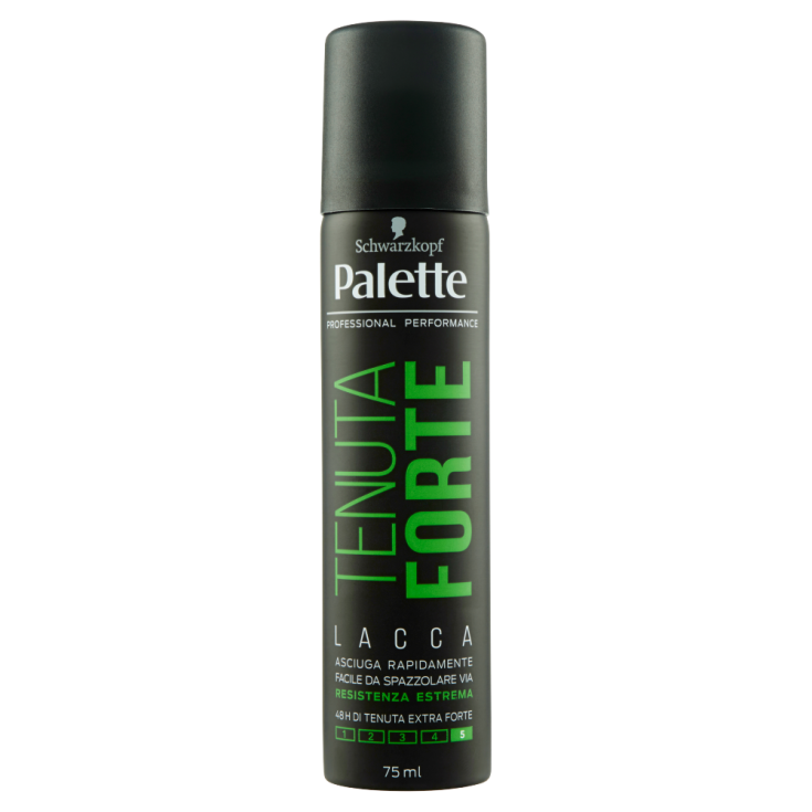 LACQUER PALETTE 75 ML