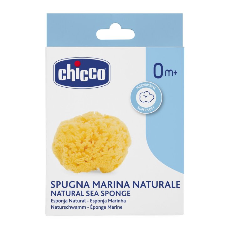 Natural Marine Sponge - Medium Chicco®