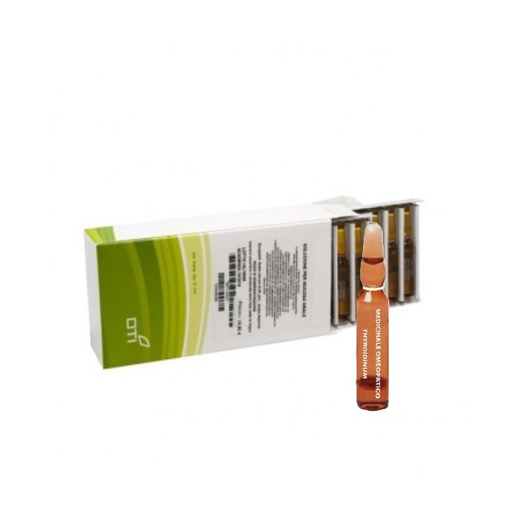 OTI Thyroidinum 6ch 20 Ampoules F
