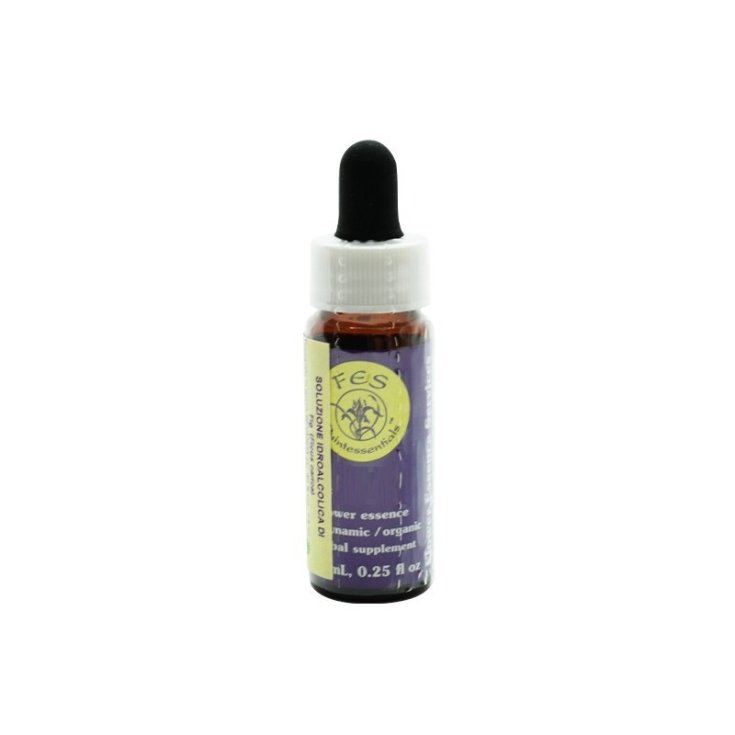 Natur Redwood Essence 7.4ml