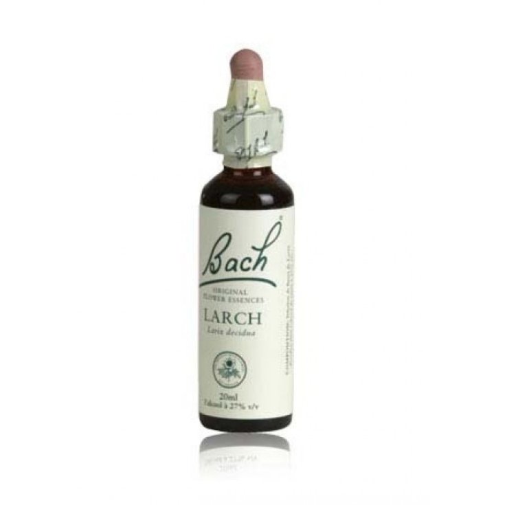 Schwabe Larch Bach Flowers Oregano 20ml