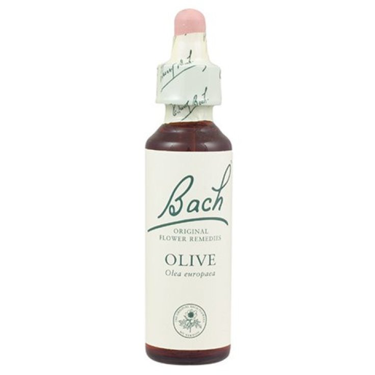 Schwabe Pharma Olive Bach Flowers 20ml