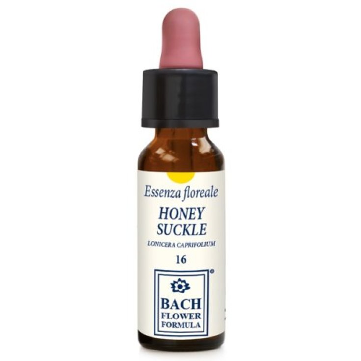 Erba Vita Honeysuckle Original Drops 10ml