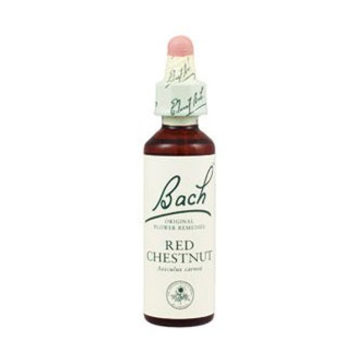 Red Chestnut Bach® Original Flowers 20ml