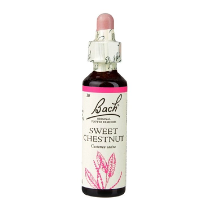 Sweet Chestnut Bach Originals 20ml