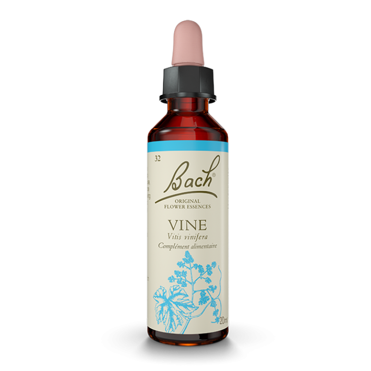 Vine Original Bach Flower Remedies 20ml