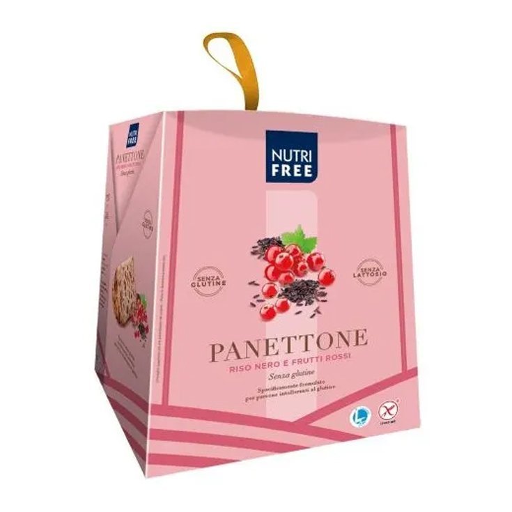 Panettone Black Rice And Red Fruits Nutrifree 400g