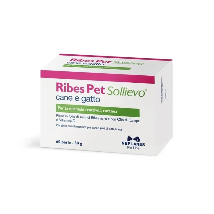 Currant Pet Relief Dog And Cat NBF Lanes 60 Pearls