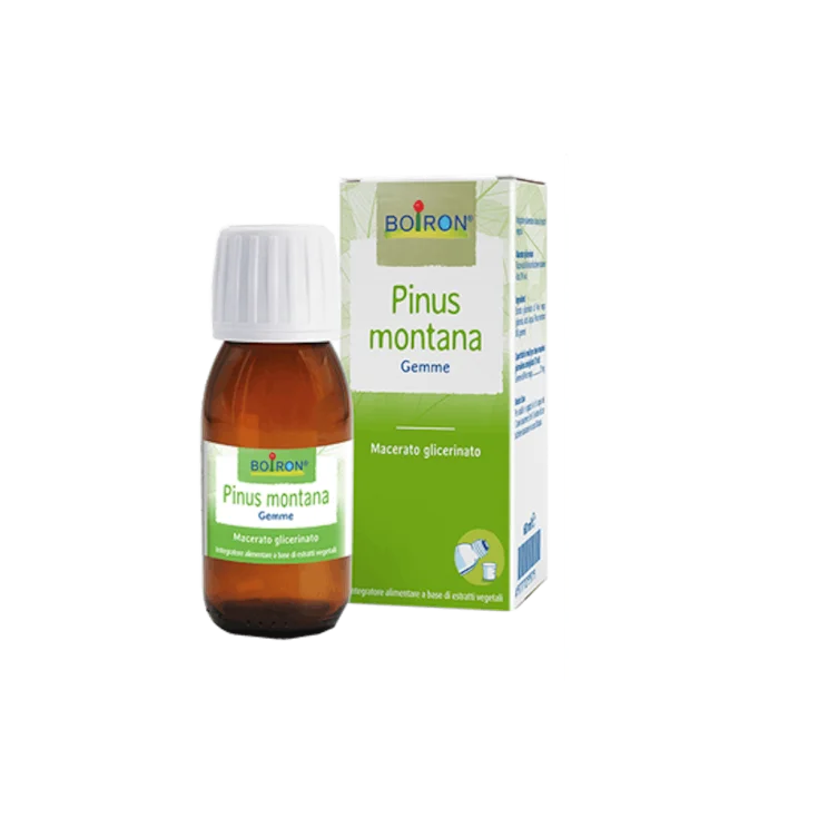 Pinus Montana Boiron 60ml