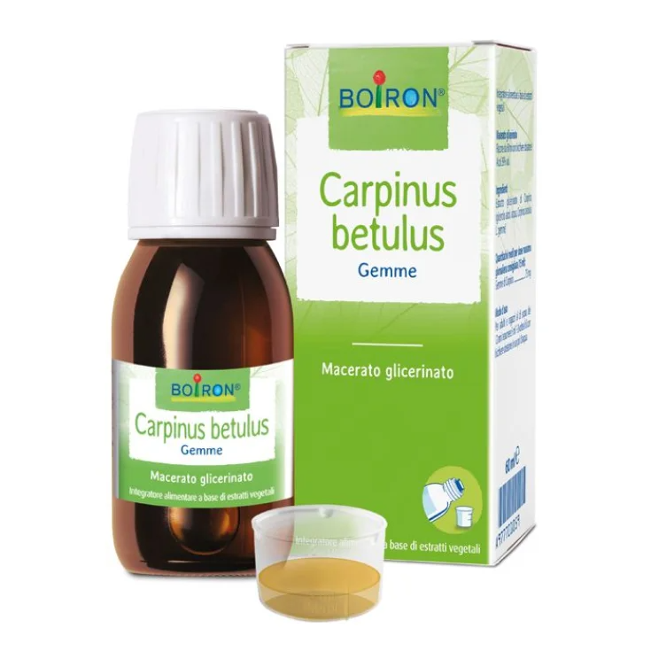 Carpinus Betulus Macerate Glycerine Boiron® 60ml