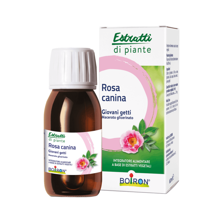 Rosa Canina Macerated Glycerine Boiron 60ml