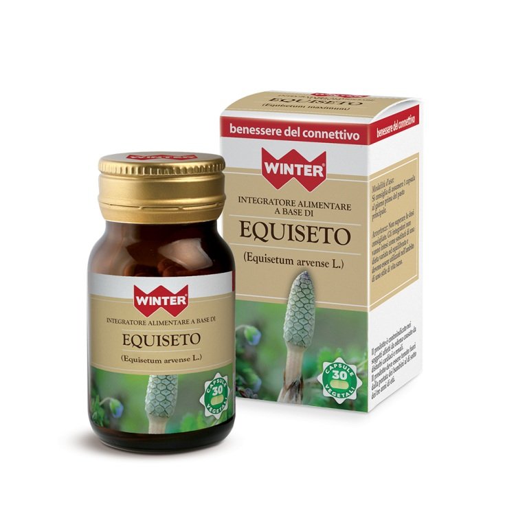 WINTER EQUISETO 30CPS VEG