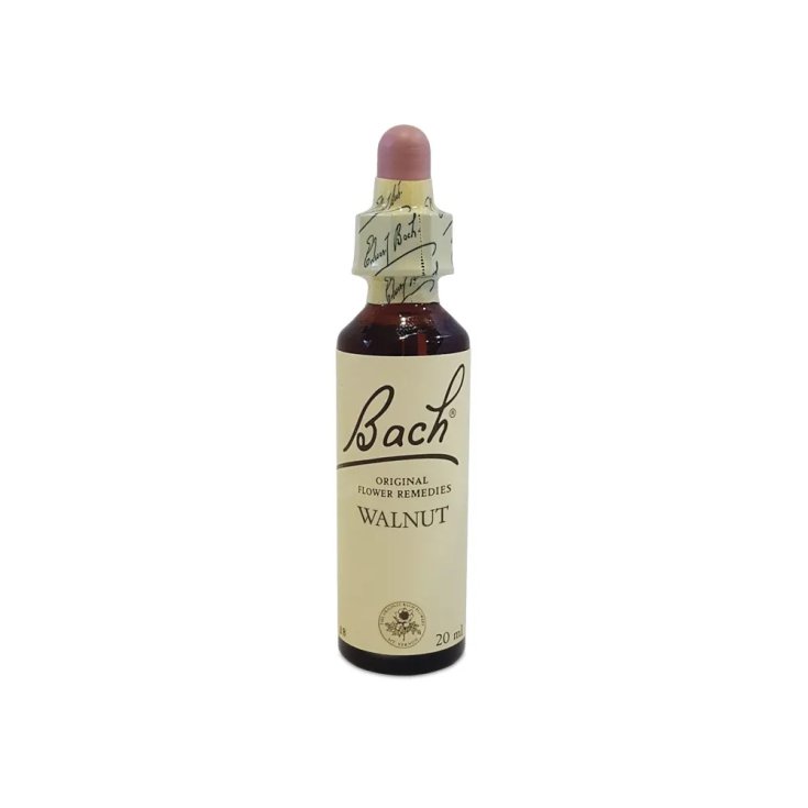 BACH CENTER ESS WALNUT 20ML