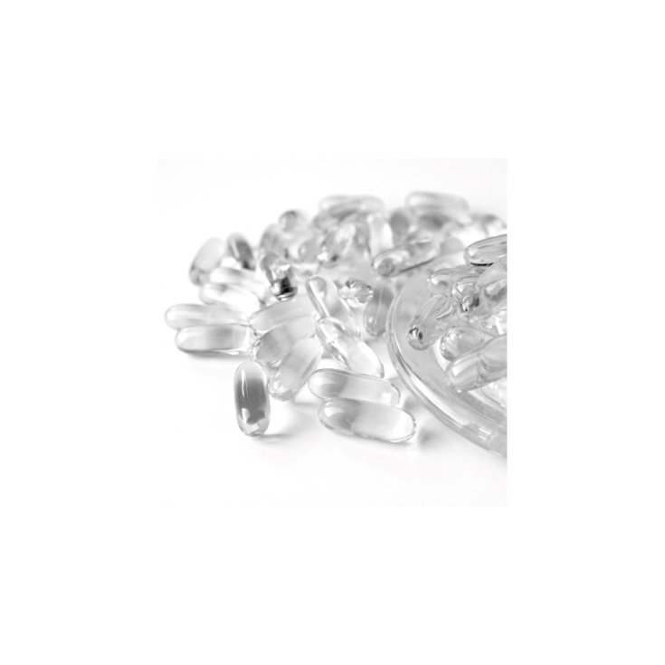 TYPE 00 TRANSPARENT CAPSULES