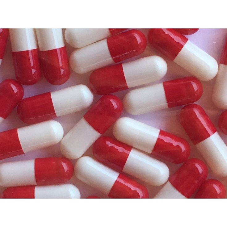 CAPSULES 00X1,000 WHITE/RED