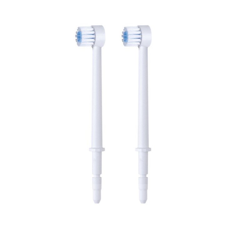 Waterpik Replacement Brush For Wp100 - 450 Sprinkler