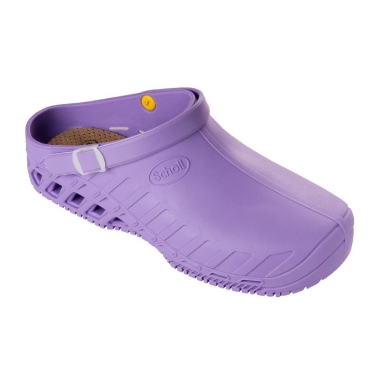 Clog Evo Unisex Scholl Lilac 40-41