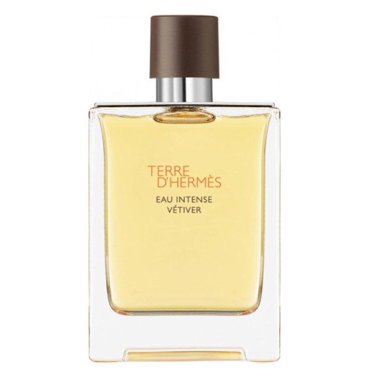 HERMES TERRE D HERMES EAU INTENSE