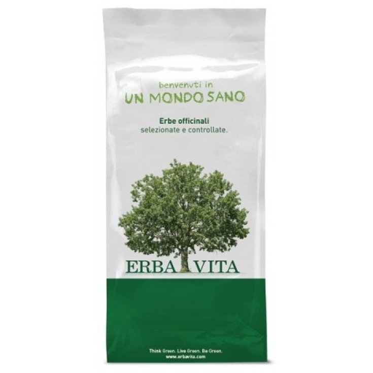 Horsetail Horsetail Erba Vita 1kg