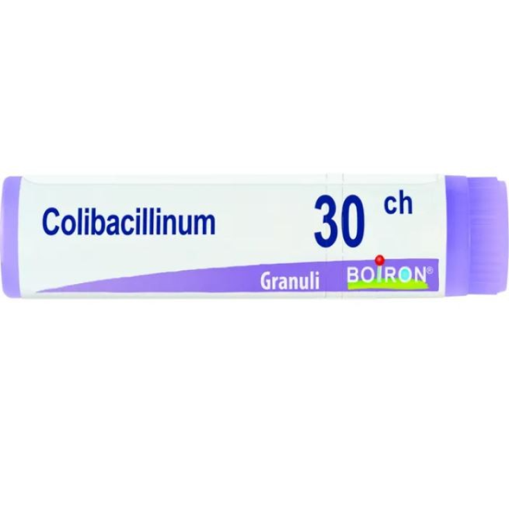 COLIBACILLINUM 30CH GR