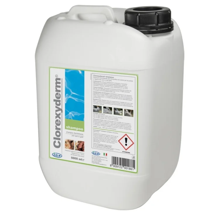 CLOREXYDERM SHAMPOO 5L