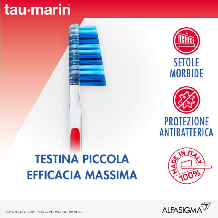 Professional 27 Soft Tau Marin Bristles Assorted Colors