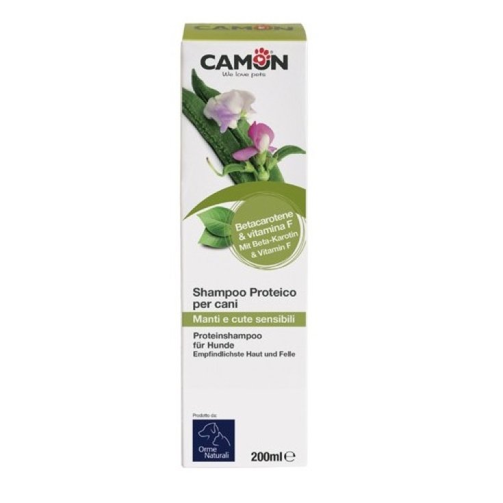 Beauty Camon Protein Shampoo 200ml